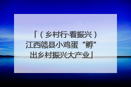 （乡村行·看振兴）江西赣县小鸡蛋“孵”出乡村振兴大产业
