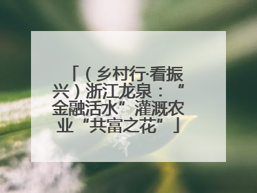 （乡村行·看振兴）浙江龙泉：“金融活水”灌溉农业“共富之花”