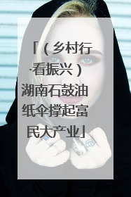 （乡村行·看振兴）湖南石鼓油纸伞撑起富民大产业