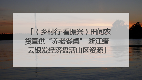 （乡村行·看振兴）田间农货直供“养老餐桌” 浙江缙云银发经济盘活山区资源