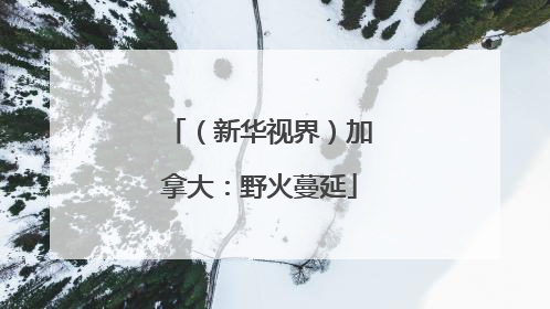 （新华视界）加拿大：野火蔓延