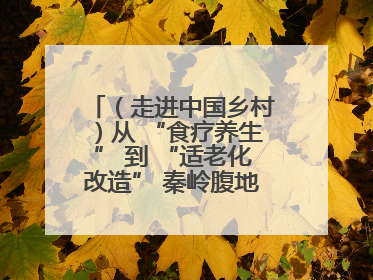 （走进中国乡村）从 “食疗养生” 到 “适老化改造” 秦岭腹地成康养“福地”