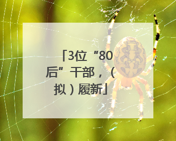3位“80后”干部，（拟）履新