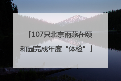 107只北京雨燕在颐和园完成年度“体检”