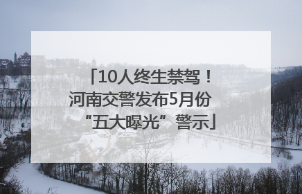 10人终生禁驾！河南交警发布5月份“五大曝光”警示