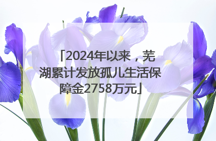 2024年以来，芜湖累计发放孤儿生活保障金2758万元