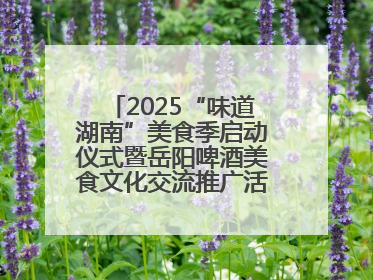 2025“味道湖南”美食季启动仪式暨岳阳啤酒美食文化交流推广活动举办