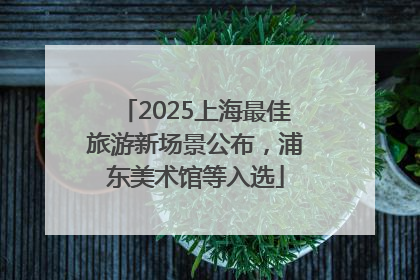 2025上海最佳旅游新场景公布，浦东美术馆等入选