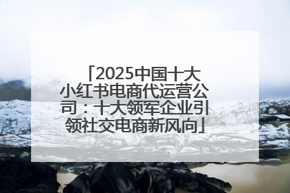 2025中国十大小红书电商代运营公司：十大领军企业引领社交电商新风向