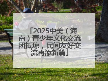 2025中美（海南）青少年文化交流团抵琼，民间友好交流再添新篇