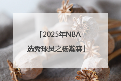 2025年NBA选秀球员之杨瀚森