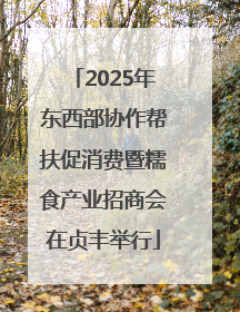 2025年东西部协作帮扶促消费暨糯食产业招商会在贞丰举行