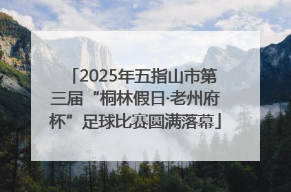 2025年五指山市第三届“桐林假日·老州府杯”足球比赛圆满落幕