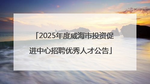 2025年度威海市投资促进中心招聘优秀人才公告