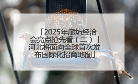 2025年廊坊经洽会亮点抢先看（二）丨河北将面向全球首次发布国际化招商地图