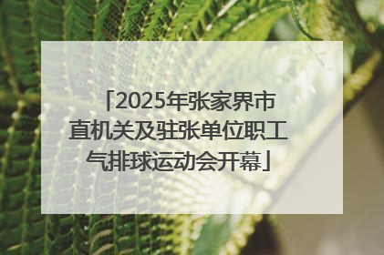 2025年张家界市直机关及驻张单位职工气排球运动会开幕