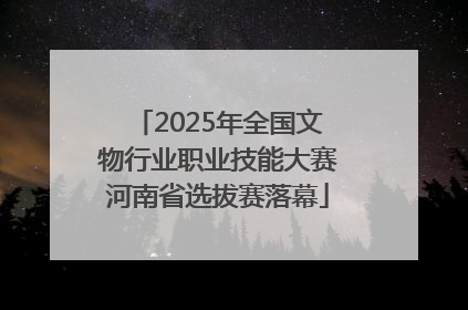 2025年全国文物行业职业技能大赛河南省选拔赛落幕