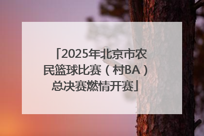 2025年北京市农民篮球比赛（村BA）总决赛燃情开赛
