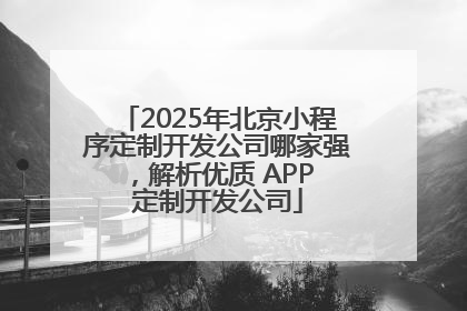 2025年北京小程序定制开发公司哪家强，解析优质 APP 定制开发公司