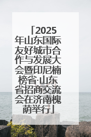 2025年山东国际友好城市合作与发展大会暨印尼楠榜省·山东省招商交流会在济南槐荫举行