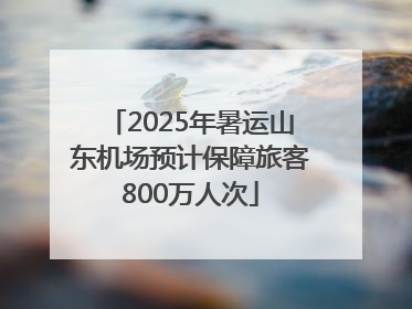 2025年暑运山东机场预计保障旅客800万人次