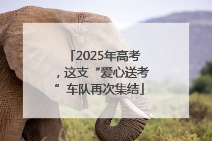 2025年高考，这支“爱心送考”车队再次集结