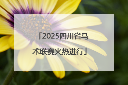 2025四川省马术联赛火热进行