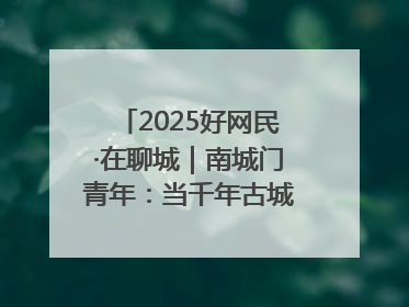 2025好网民·在聊城｜南城门青年：当千年古城遇见青春歌谣 一湖碧水见证的“聊城式浪漫”