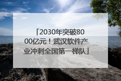 2030年突破8000亿元！武汉软件产业冲刺全国第一梯队