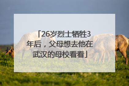 26岁烈士牺牲3年后，父母想去他在武汉的母校看看