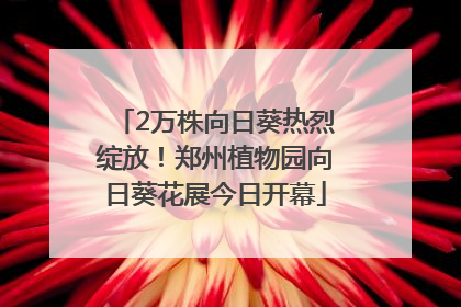 2万株向日葵热烈绽放！郑州植物园向日葵花展今日开幕