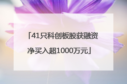 41只科创板股获融资净买入超1000万元