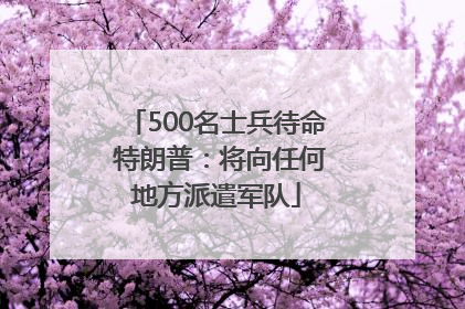 500名士兵待命 特朗普：将向任何地方派遣军队