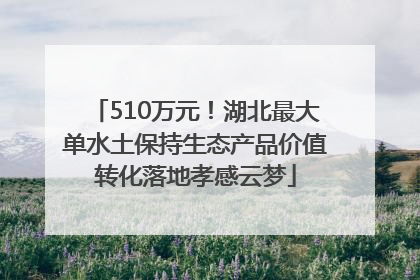 510万元！湖北最大单水土保持生态产品价值转化落地孝感云梦