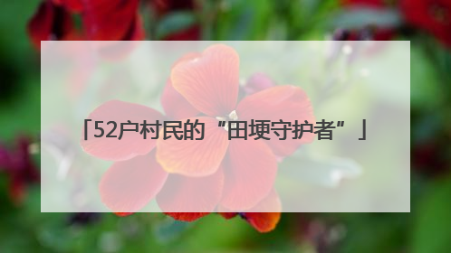 52户村民的“田埂守护者”
