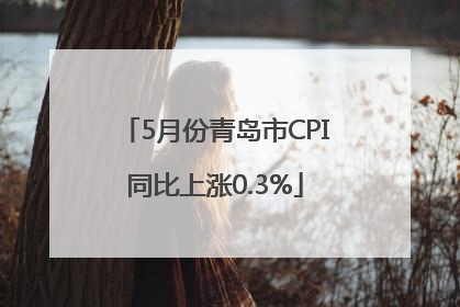 5月份青岛市CPI同比上涨0.3%