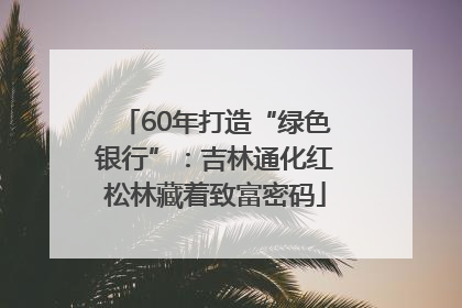 60年打造“绿色银行”：吉林通化红松林藏着致富密码