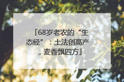 68岁老农的“生态经”：土法创高产，麦香飘四方
