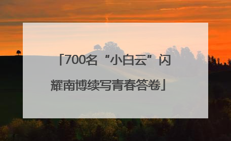 700名“小白云”闪耀南博续写青春答卷