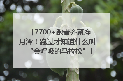 7700+跑者齐聚净月潭！跑过才知道什么叫“会呼吸的马拉松”