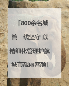 800余名城管一线坚守 以精细化管理护航城市靓丽容颜