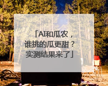 AI和瓜农，谁挑的瓜更甜？实测结果来了