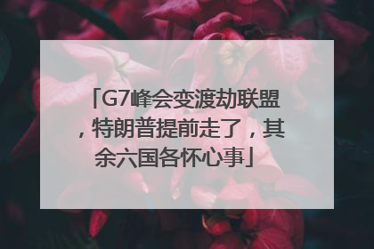 G7峰会变渡劫联盟，特朗普提前走了，其余六国各怀心事