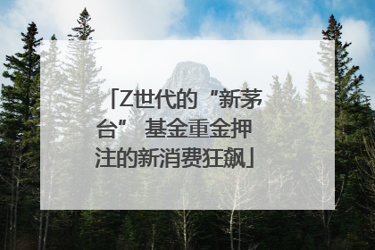 Z世代的“新茅台” 基金重金押注的新消费狂飙